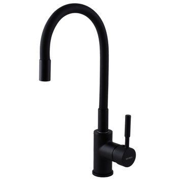 Смеситель для кухни Globus Lux LAZER GLLR-0203SB-10-BB 000022145 фото