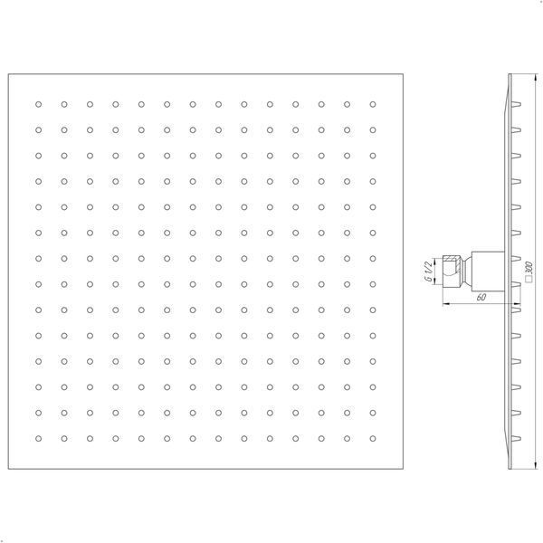 Душевая лейка Globus Lux ST-0300-Q 000018562 фото