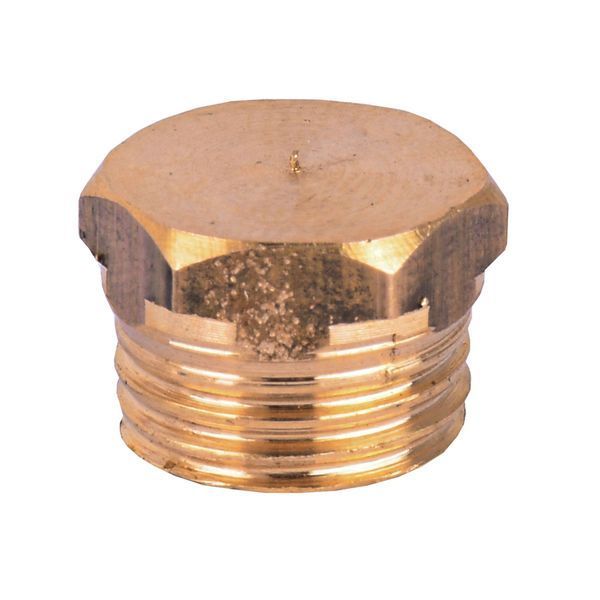Заглушка 1/4&Prime;Н латунная 1019-1Б 000011142 фото