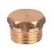 Заглушка 1/4&Prime;Н латунная 1019-1Б 000011142 фото 2