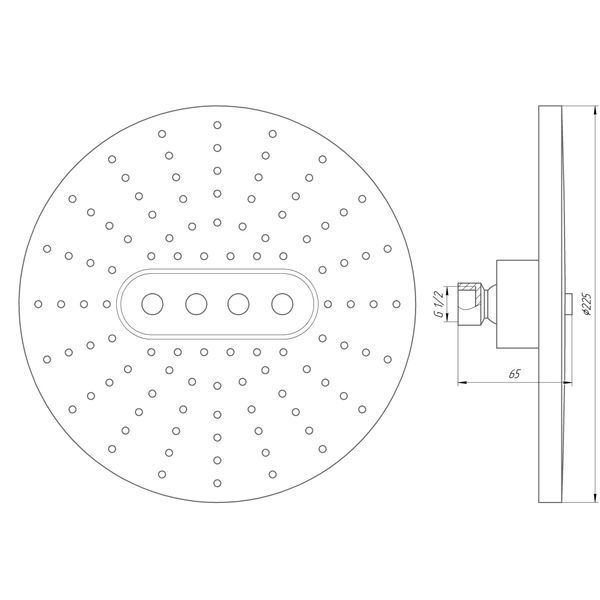 Душова лійка Globus Lux SD07A 000014995 фото