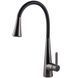 Смеситель для кухни Globus Lux LAZER Pro GLPR-203SM-GP 000028923 фото 1