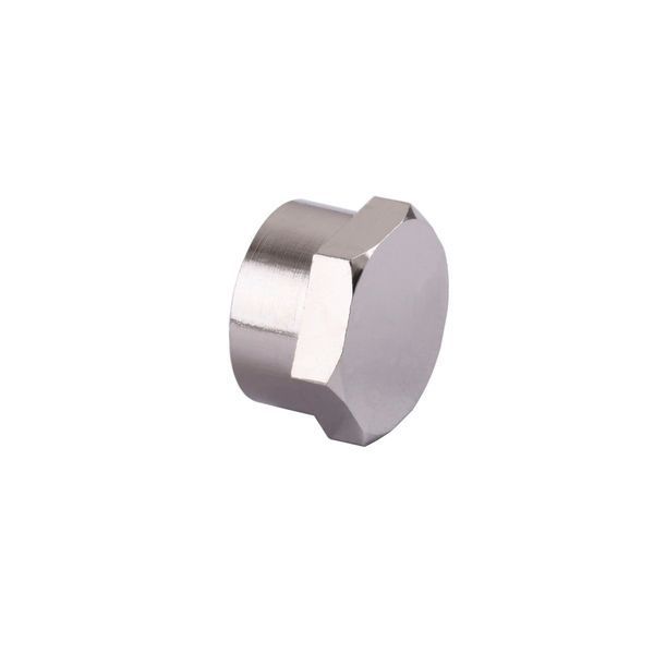 Заглушка з внутрішньою різьбою SELBA 1&Prime; SL8002 000017693 фото